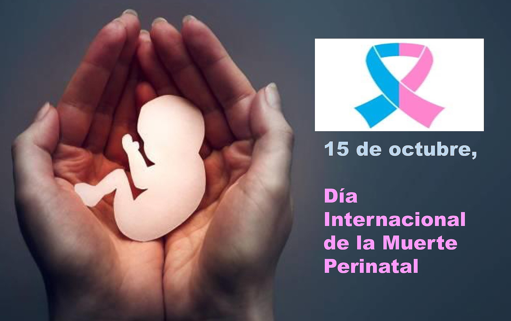 El Ayuntamiento de Valdemorillo se iluminará en rosa y azul este domingo, Día Internacional de la Muerte Perinatal