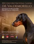 La Plaza de Toros, gran escenario este domingo del XXI Concurso Nacional Canino de Valdemorillo