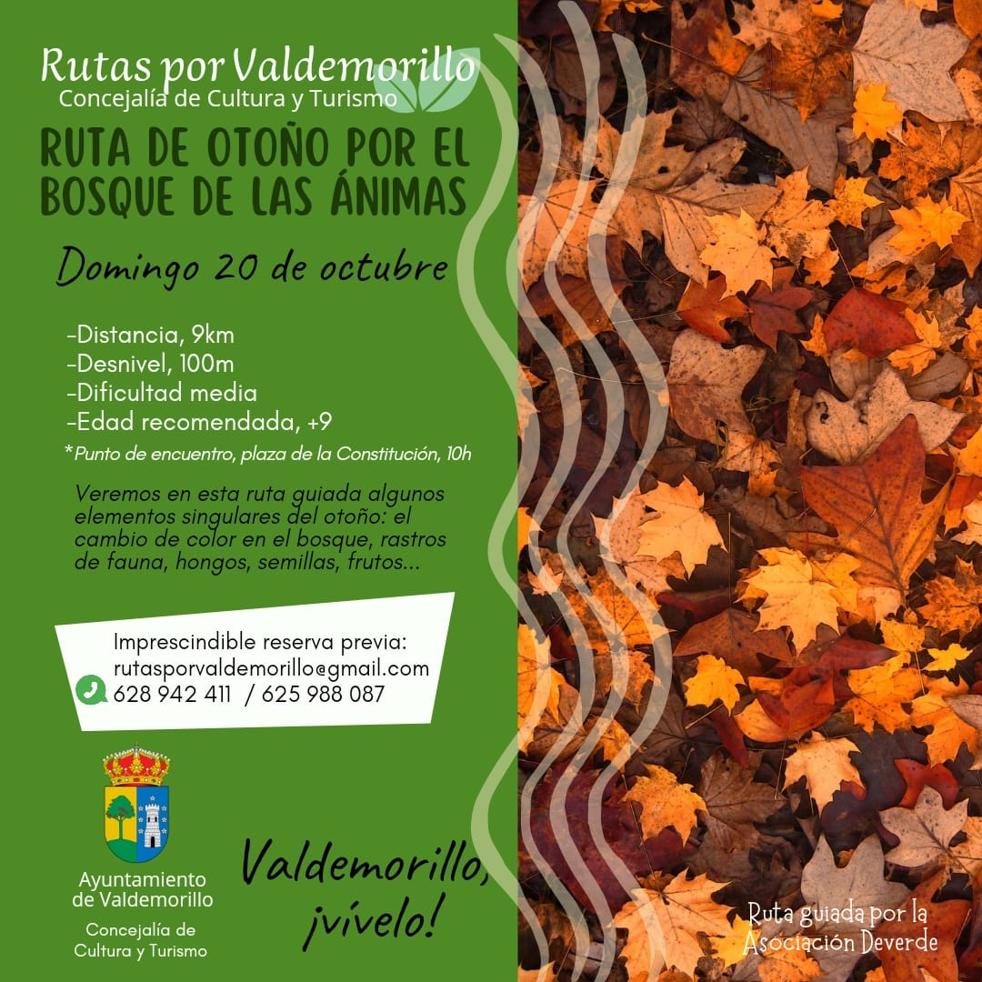 En este momento estás viendo El 20 de octubre ruta de otoño por el bosque de las Ánimas