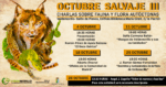 Lee más sobre el artículo Tercera edición de Octubre Salvaje