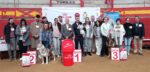Lee más sobre el artículo Un precioso Papillon, Best in Show y mejor ejemplar del XXIII Concurso Nacional Canino de Valdemorillo