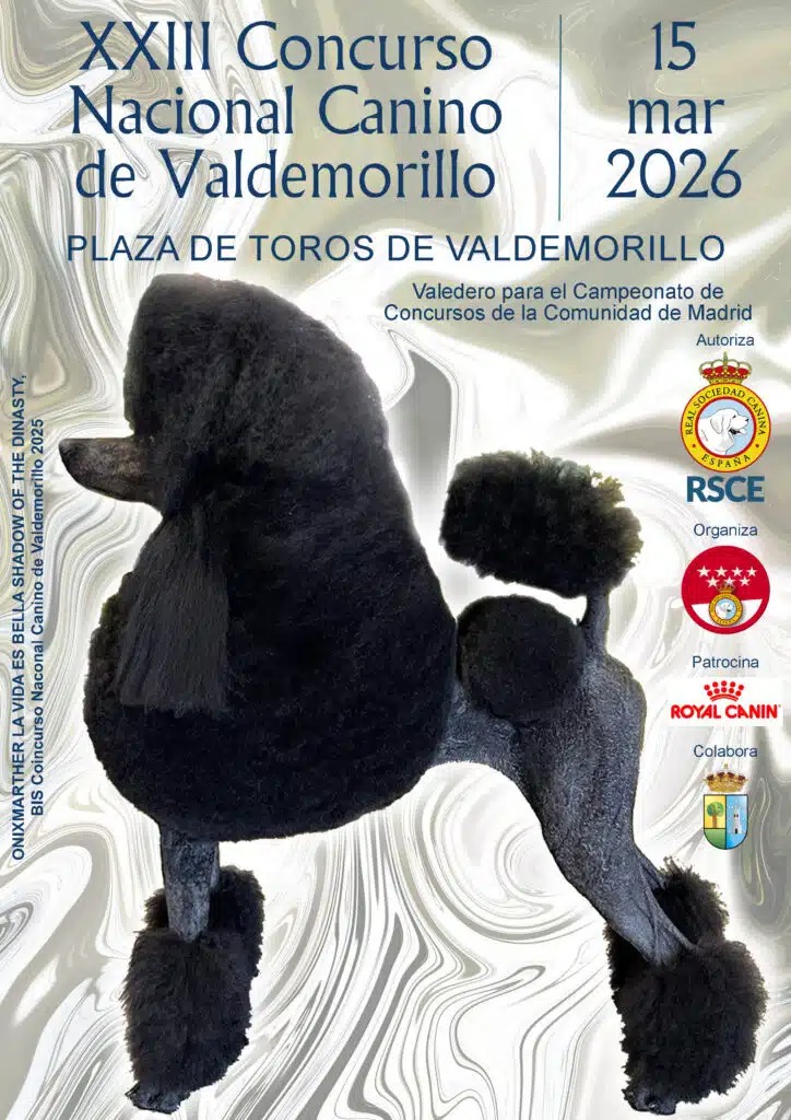 En este momento estás viendo XXIII Concurso Nacional Canino de Valdemorillo