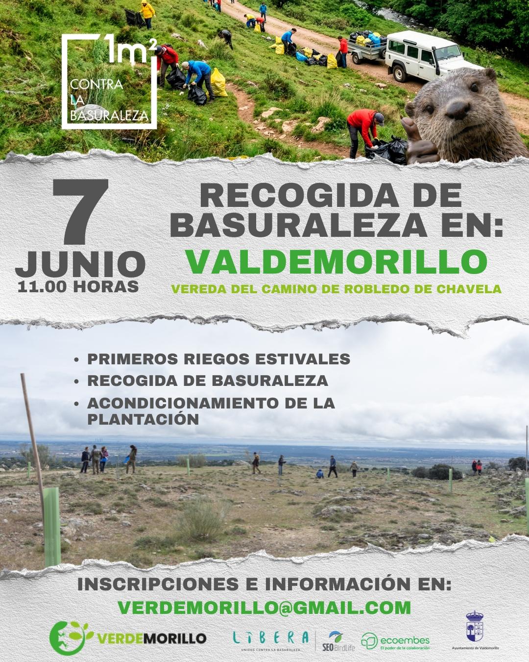 En este momento estás viendo La concejalía de Medio Ambiente respalda el compromiso de Verdemorillo con la conservación y mejora del entorno natural y anima a participar en la  jornada de basuraleza organizada para este 7 de junio