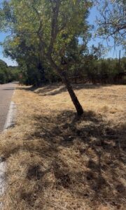 Lee más sobre el artículo Medidas contra incendios en Valdemorillo