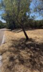 Lee más sobre el artículo Medidas contra incendios en Valdemorillo