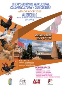 Lee más sobre el artículo XI Exposición de Avicultura, Colombicultura y Cunicultura ADAORZOCE 2026, este fin de semana en la Plaza de Toros